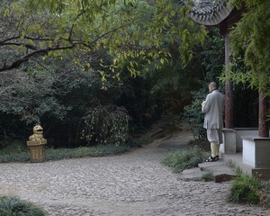 DSG_8248a