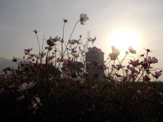 DSCN0166[1]