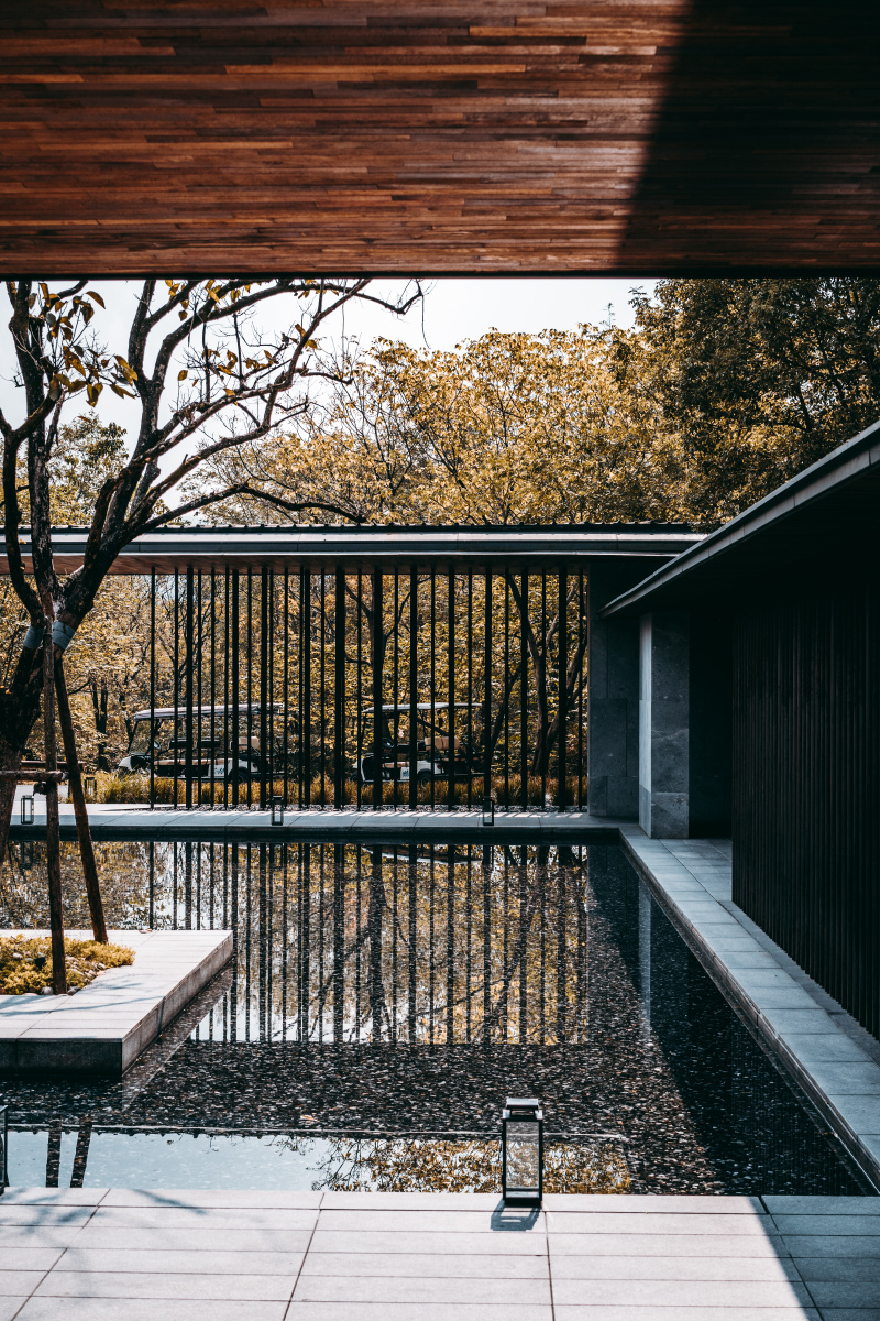 杭州木守西溪随手拍