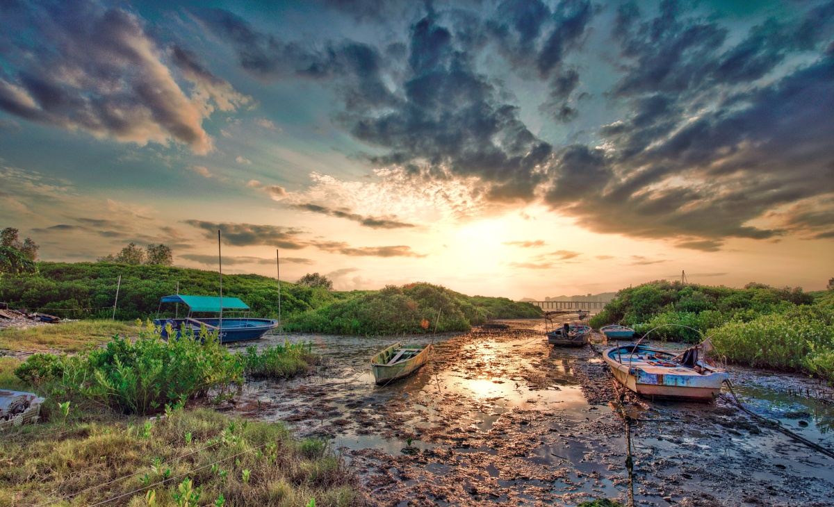 流浮山的烂泥滩