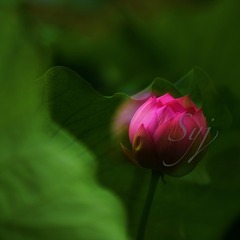 001