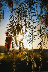 D73238C3-FB67-4B3B-94ED-CA0C4C4C4F10/L0/001