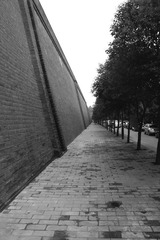 旋转 IMG_0417.JPG