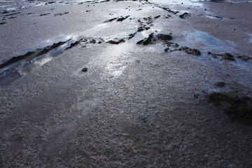 IMG_9175.JPG