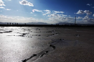 IMG_9181.JPG