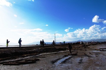 IMG_9224.JPG