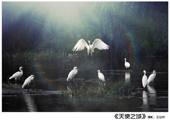 《天使之域》