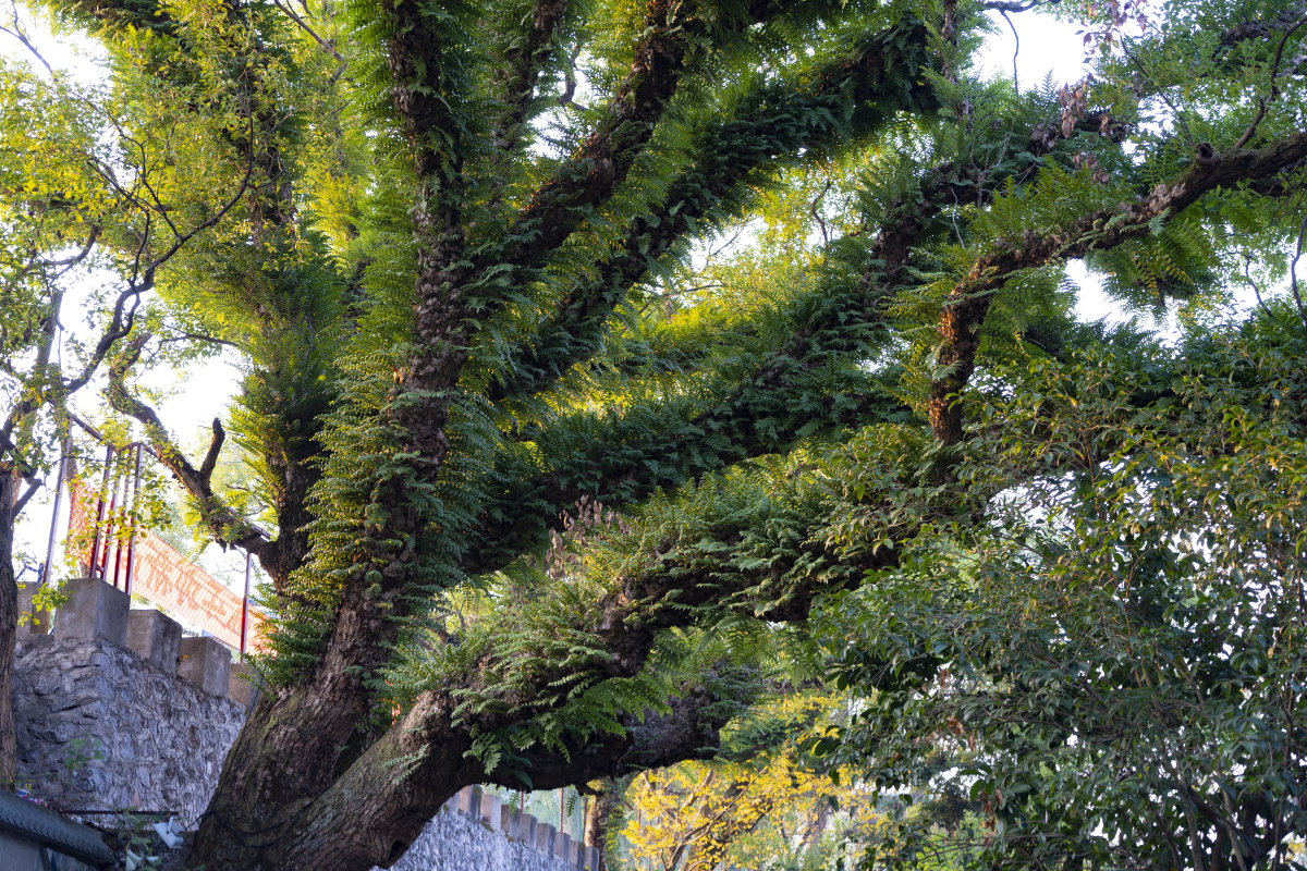 人吧风光摄影圈河流兴安树反射水域今日天空绝了景观风光旅行灵渠桂林