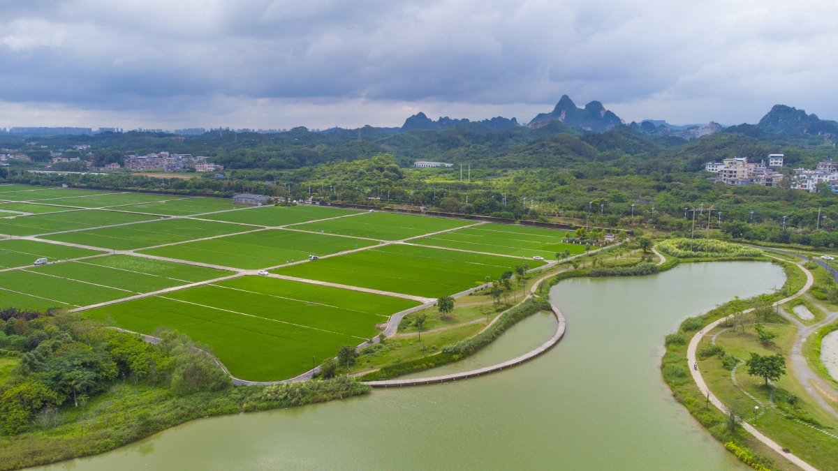 玉林五彩田园美丽风光