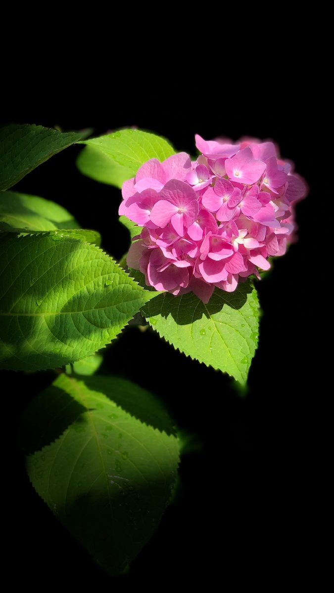 675_1200竖版 竖屏