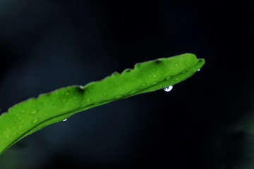 509273