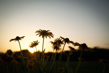 余晖，言将夕也