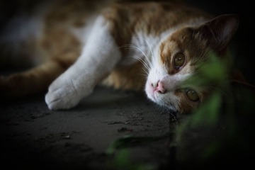 我们相互凝视