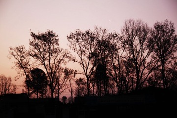 IMG_3046.JPG