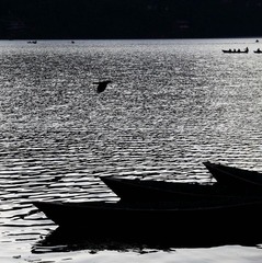 IMG_2507.JPG