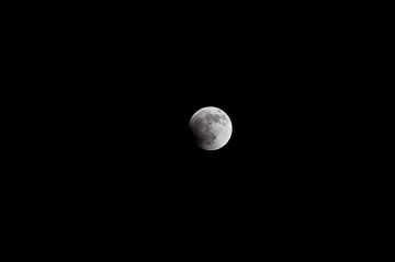 DSC_7752.jpg