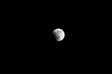 DSC_7760.jpg