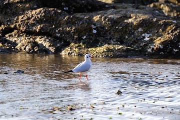 DSC_7917.jpg