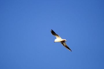 DSC_7949.jpg
