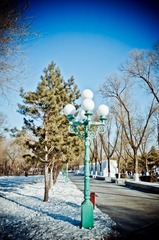 DSC_9153.jpg