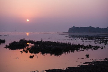 DSC_2108.jpg
