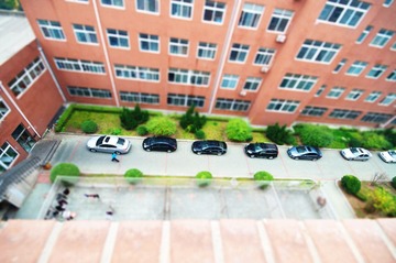 DSC_7411 (2).jpg