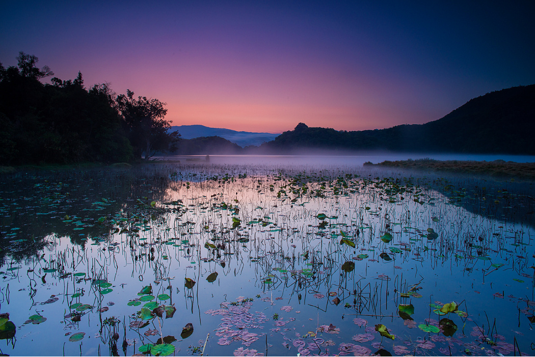 拍在普洱西盟县
