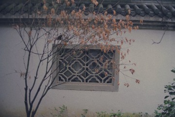 1205192