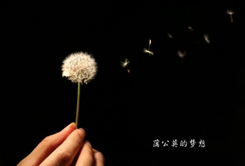 蒲公英的梦想1.jpg