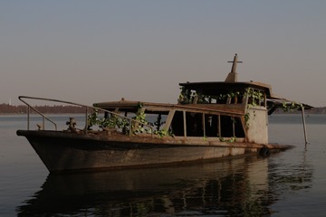 254601