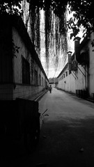 IMAG0119.jpg