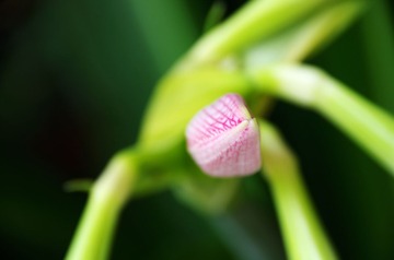 IMG_0543f