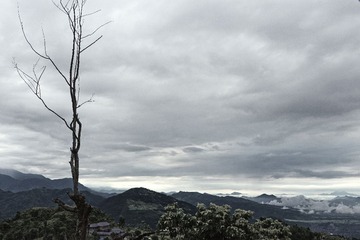 DSC_8793.jpg