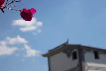 IMG_0195.JPG