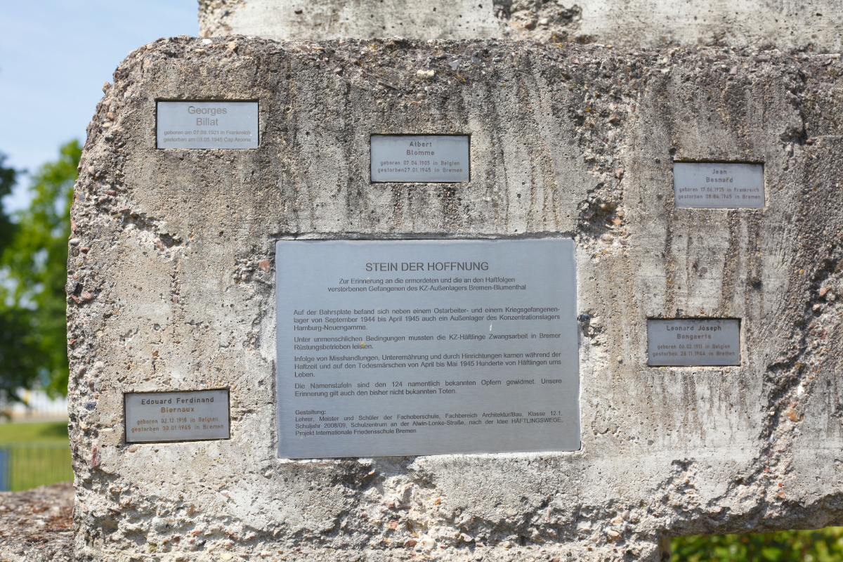 北京 奥森南园,光猪跑活动.