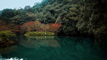 九溪烟树