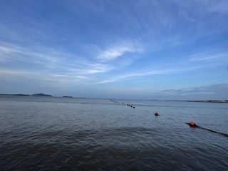 7287A4EF-2D3C-46C7-9FA5-8DEBC16082BA/L0/001