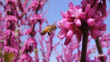 DSC02375_conew1.jpg
