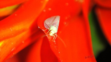 DSC09439_conew1.jpg