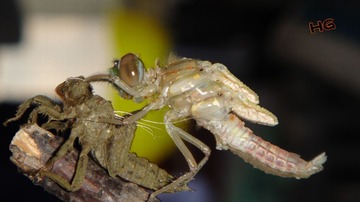 DSC01614_conew2.jpg