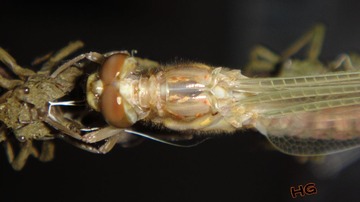 DSC01620_conew2.jpg