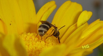 DSC01671_conew2.jpg
