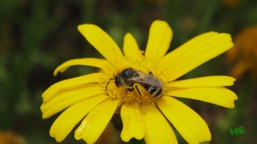 DSC01501_conew2.jpg