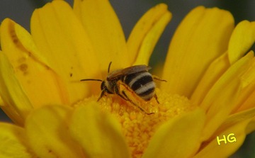 DSC01669_conew2.jpg