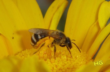 DSC01670_conew2.jpg