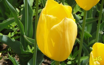 DSC02356_conew1.jpg