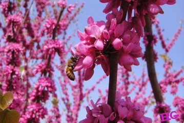 DSC02374_conew1.jpg