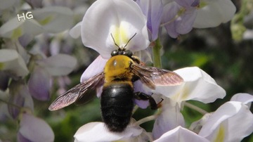 DSC08686_conew1.jpg