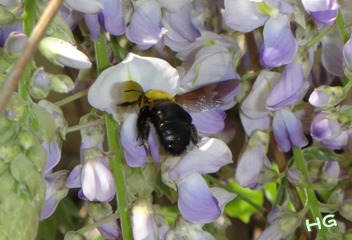 DSC08006_conew1.jpg