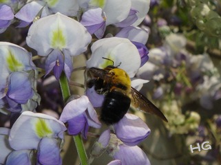 DSC08020_conew1.jpg